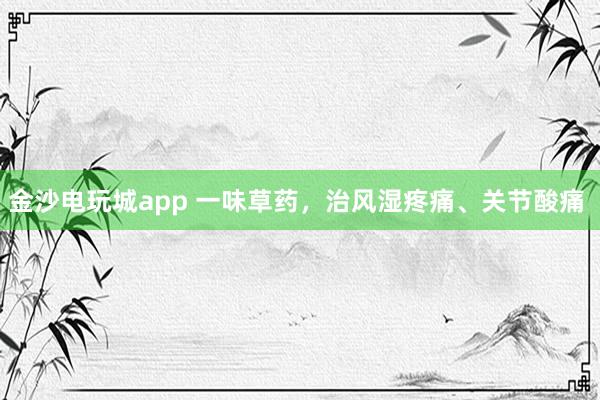 金沙電玩城app 一味草藥，治風濕疼痛、關節酸痛  