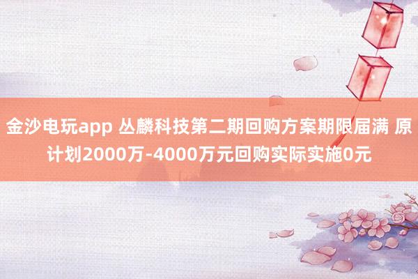 金沙電玩app 叢麟科技第二期回購方案期限屆滿 原計(jì)劃2000萬-4000萬元回購實(shí)際實(shí)施0元