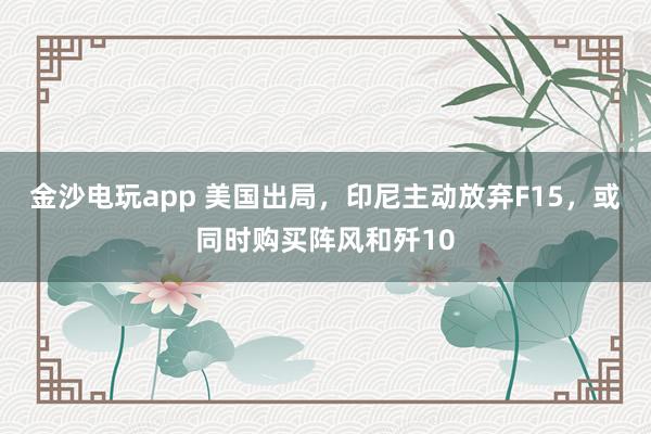 金沙電玩app 美國出局，印尼主動放棄F15，或同時購買陣風(fēng)和殲10