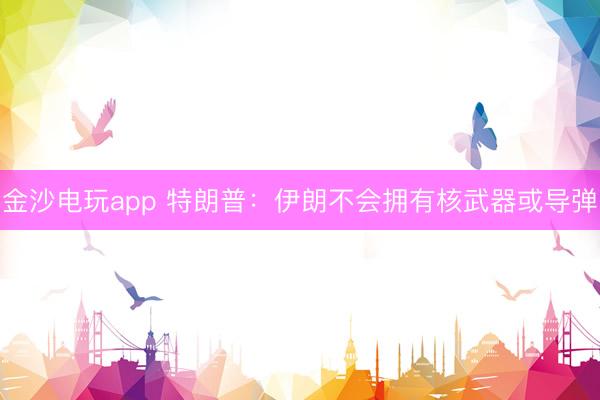 金沙電玩app 特朗普：伊朗不會擁有核武器或?qū)?></p><p><img id=