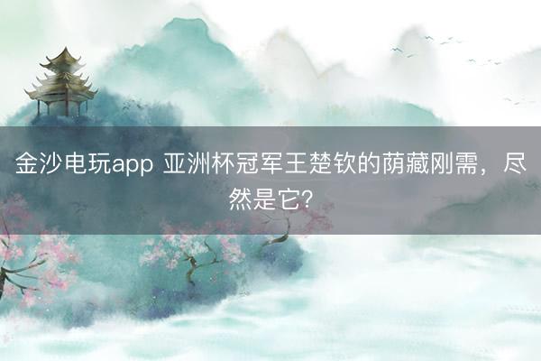 金沙電玩app 亞洲杯冠軍王楚欽的蔭藏剛需,盡然是它?
