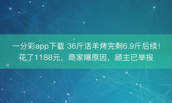 一分彩app下載 36斤活羊烤完剩6.9斤后續！花了1188元，商家曝原因，顧主已舉報