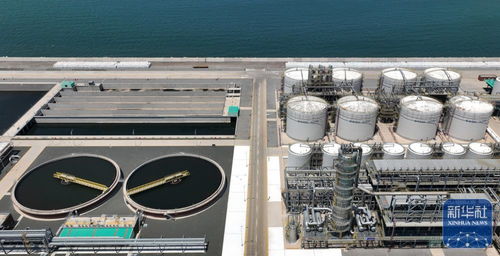 東北石化產業 減油增化 再造產業新動能